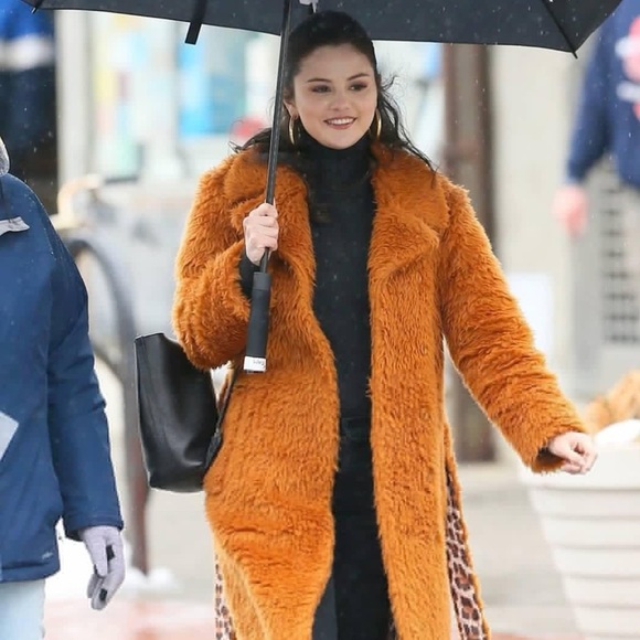 NWT Fauna Coat Rust ASTR The Label $188 Nordstrom - Picture 13 of 14